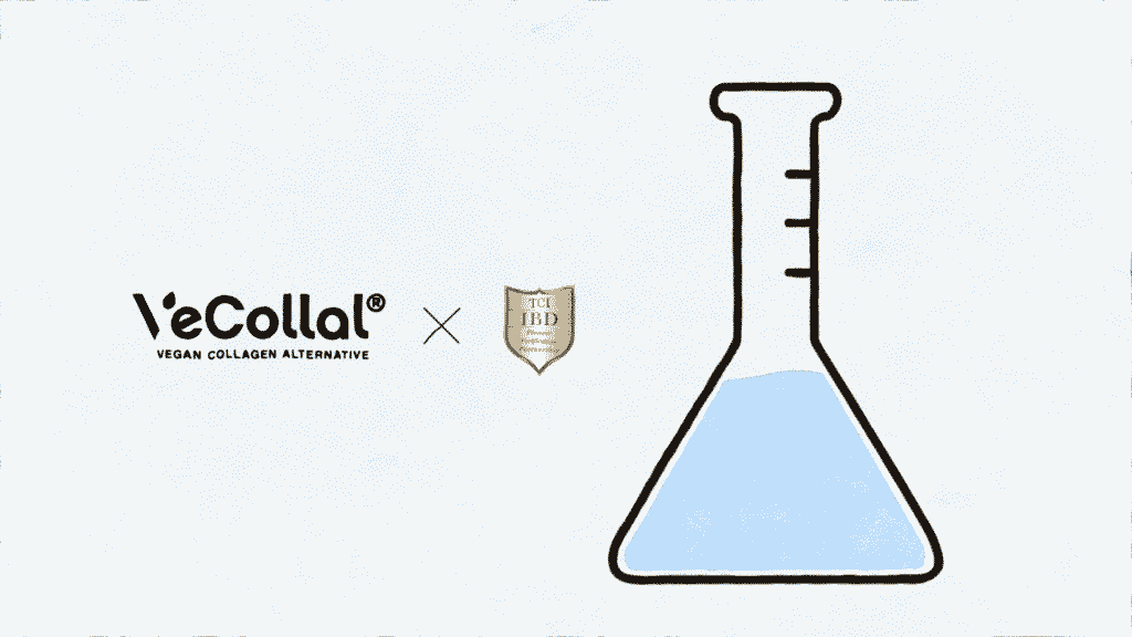 VeCollal_main_40-1024x576.png