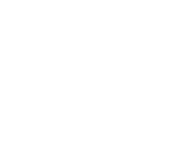 LOGO-w.png