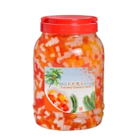 Colorful-Coconut-Jelly-1.jpg