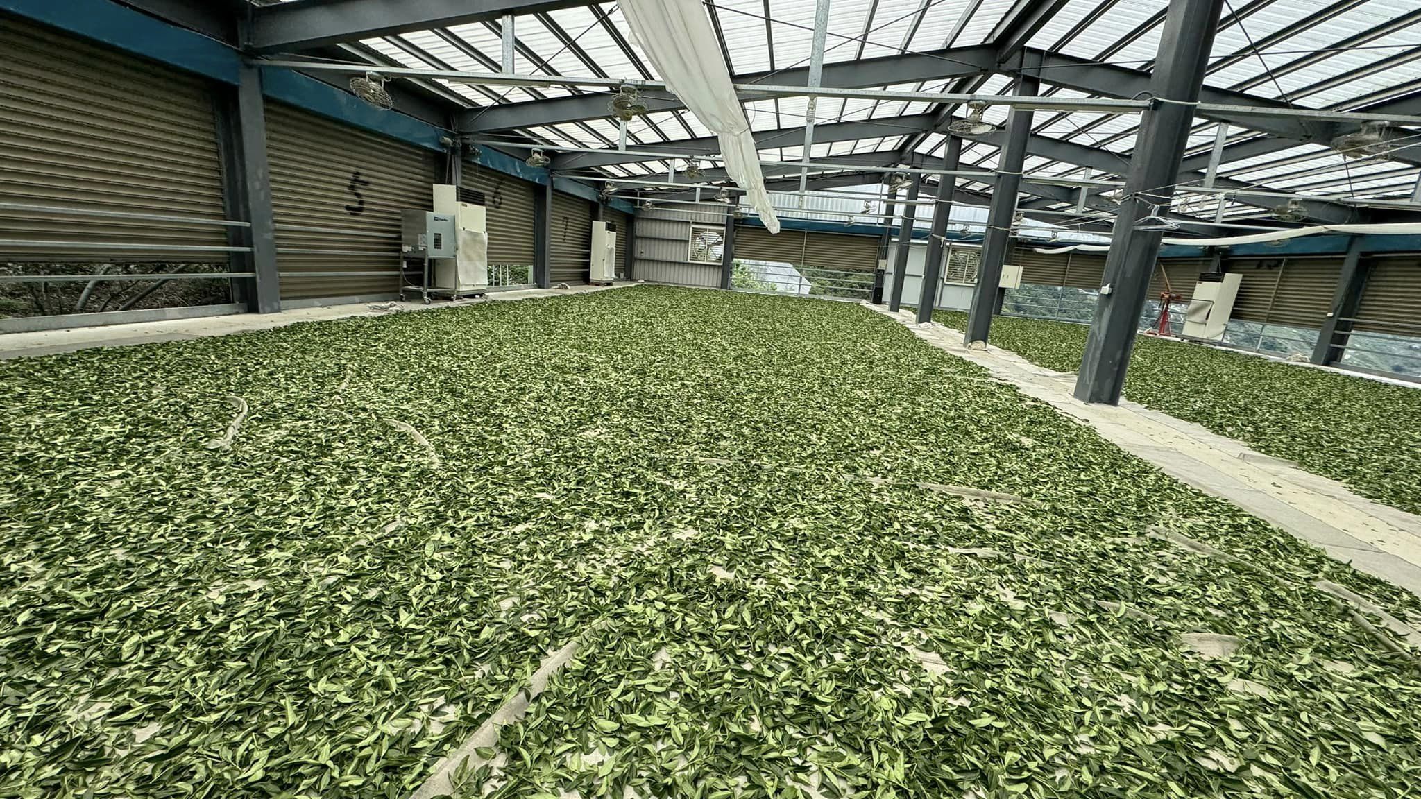 85k-3.jpg
