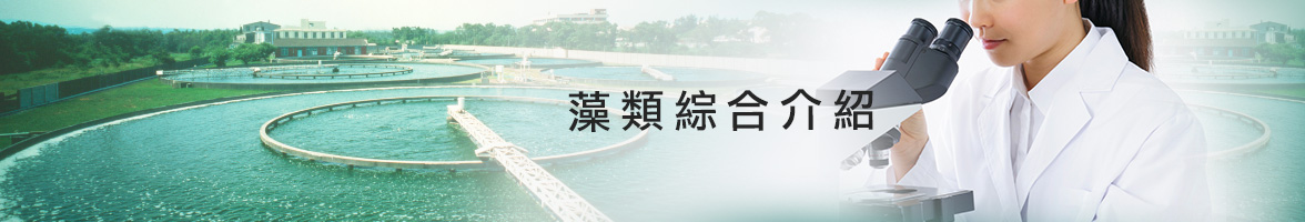 products_banner.jpg
