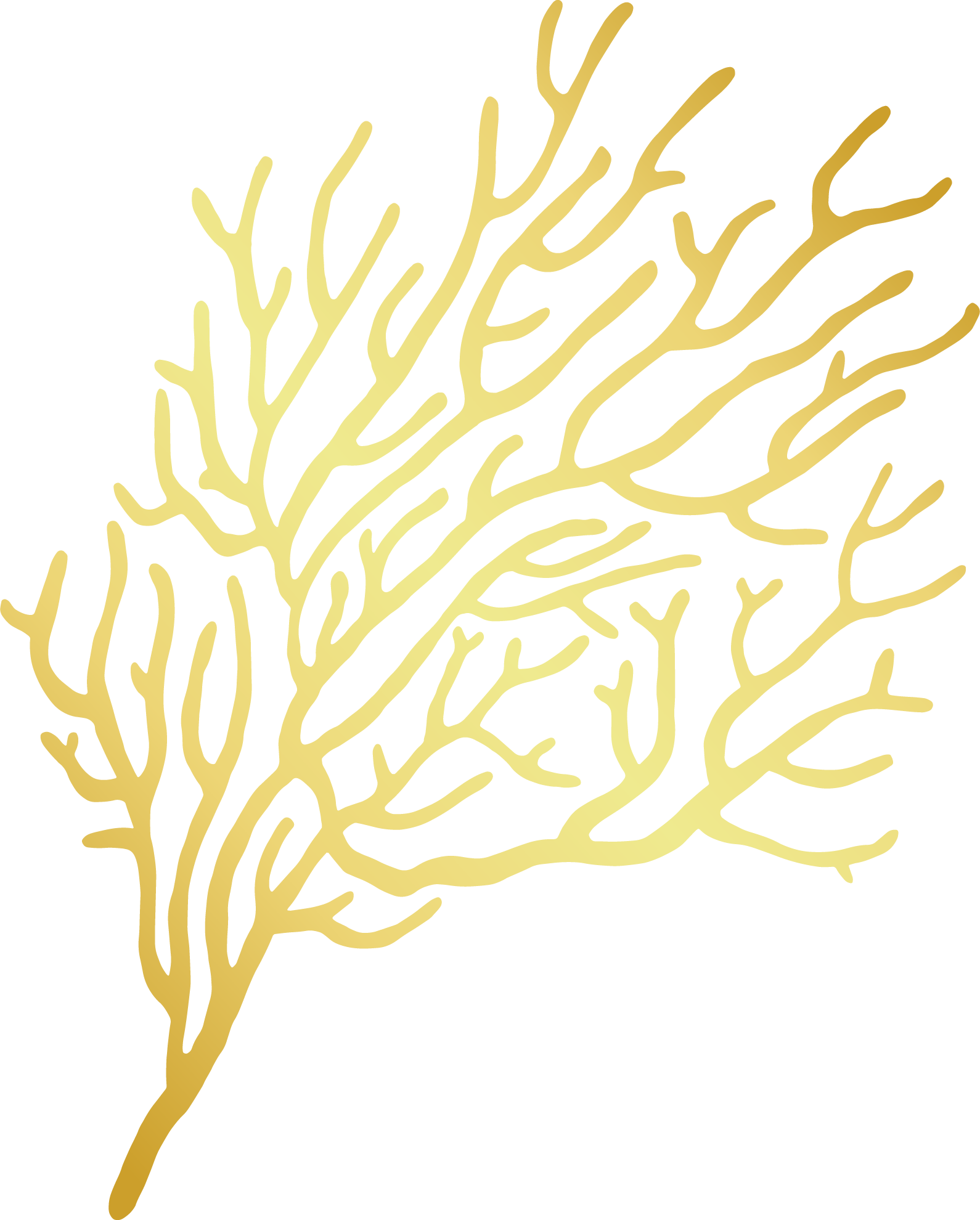 02.png