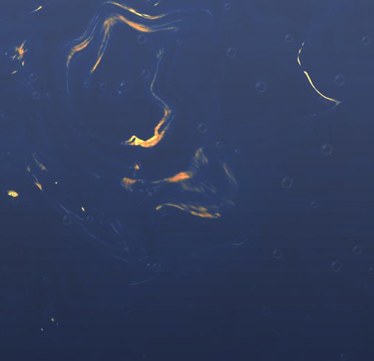 1668064041534.jpg