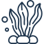 seaweed.png