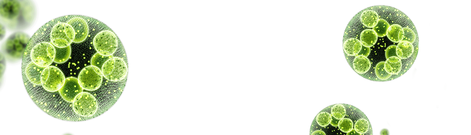 kv--fabico--4.png