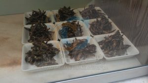 calories-300x169.jpg