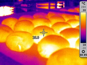 egg-300x225.jpg