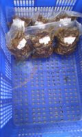 o_1ahskq5fj1r16f591jtkl2fiqhu-1.jpg