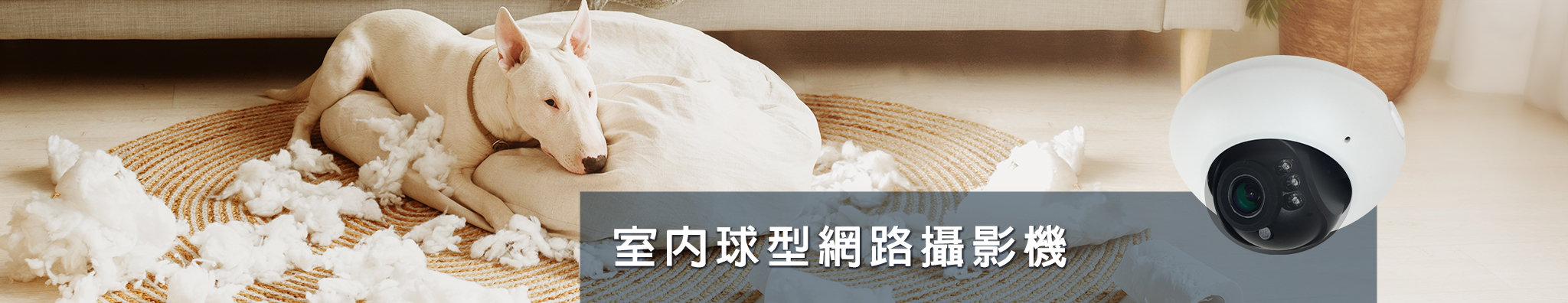 pt_2048_nindoo.jpg